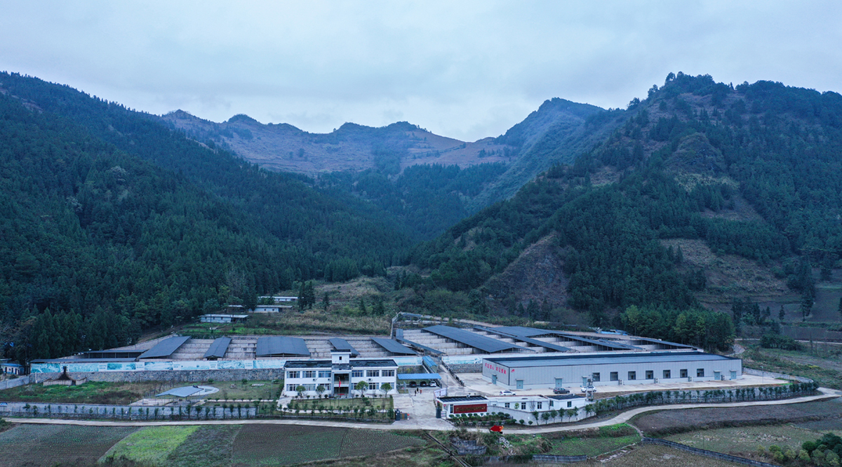 養(yǎng)殖基地