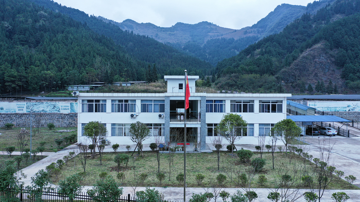 生產(chǎn)基地