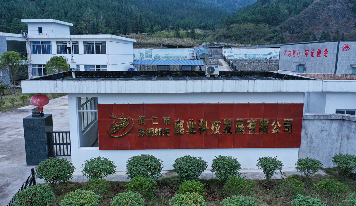 生產(chǎn)基地